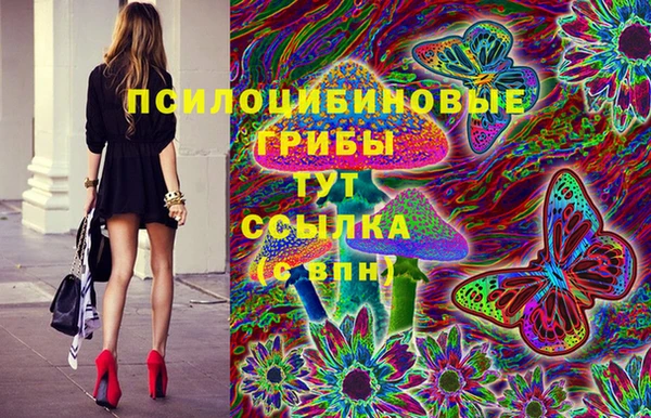 COCAINE Нестеровская
