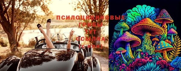 гидра Калининец