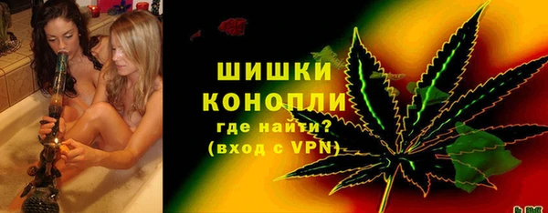ПСИЛОЦИБИНОВЫЕ ГРИБЫ Сосновка